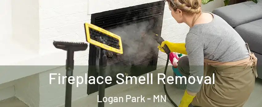 Fireplace Smell Removal Logan Park - MN