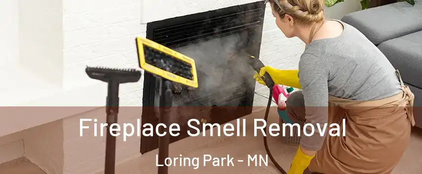 Fireplace Smell Removal Loring Park - MN