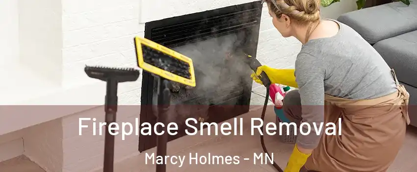 Fireplace Smell Removal Marcy Holmes - MN