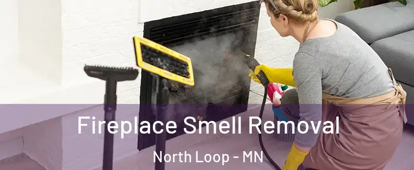 Fireplace Smell Removal North Loop - MN