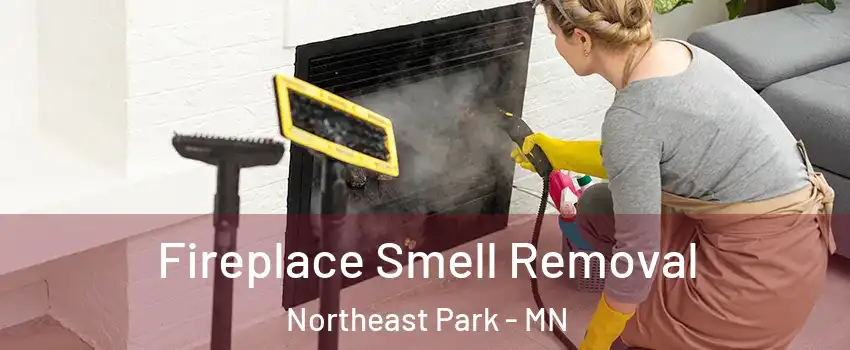 Fireplace Smell Removal Northeast Park - MN