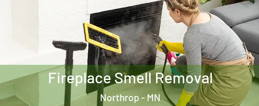 Fireplace Smell Removal Northrop - MN