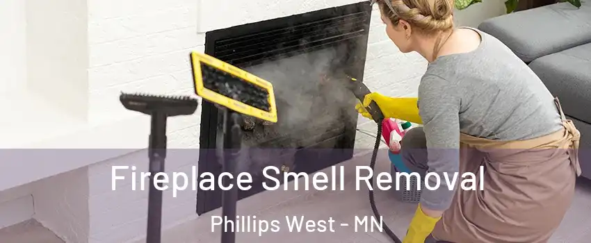 Fireplace Smell Removal Phillips West - MN