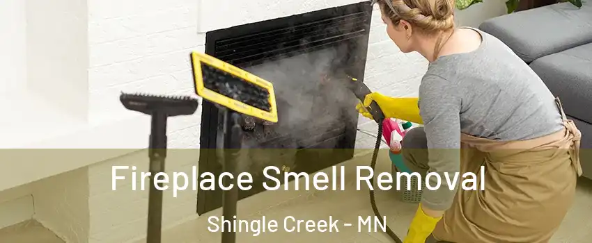 Fireplace Smell Removal Shingle Creek - MN