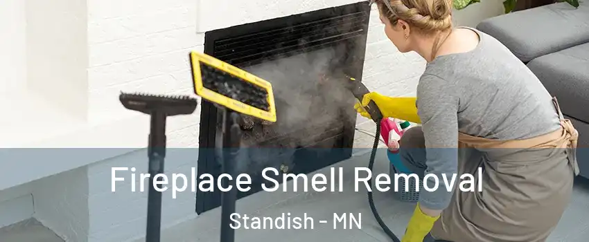 Fireplace Smell Removal Standish - MN