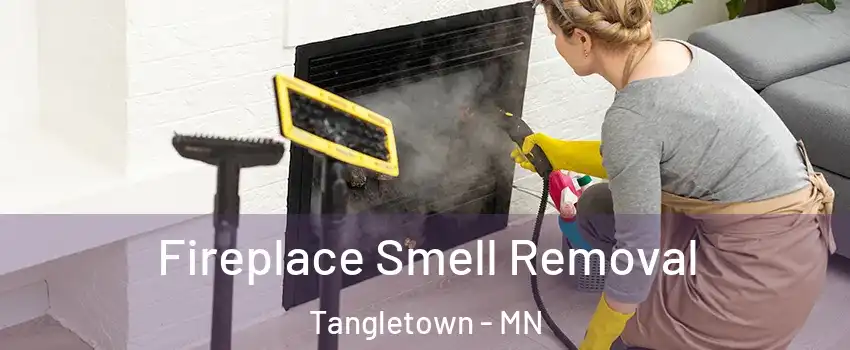 Fireplace Smell Removal Tangletown - MN