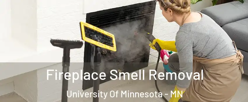 Fireplace Smell Removal University Of Minnesota - MN