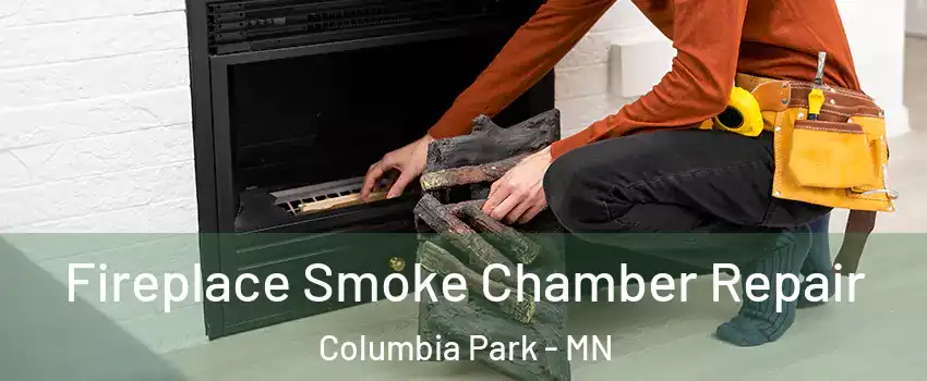 Fireplace Smoke Chamber Repair Columbia Park - MN
