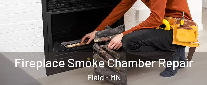 Fireplace Smoke Chamber Repair Field - MN