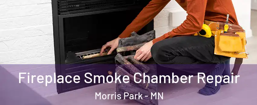 Fireplace Smoke Chamber Repair Morris Park - MN