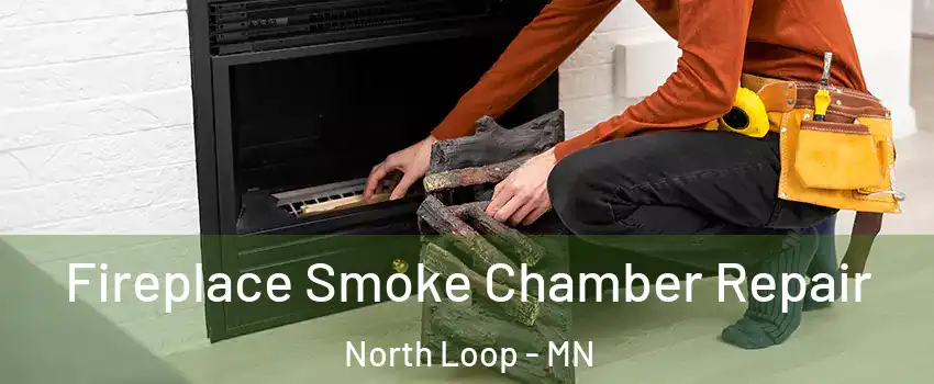 Fireplace Smoke Chamber Repair North Loop - MN