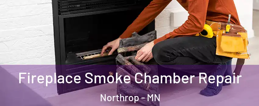 Fireplace Smoke Chamber Repair Northrop - MN