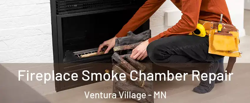 Fireplace Smoke Chamber Repair Ventura Village - MN