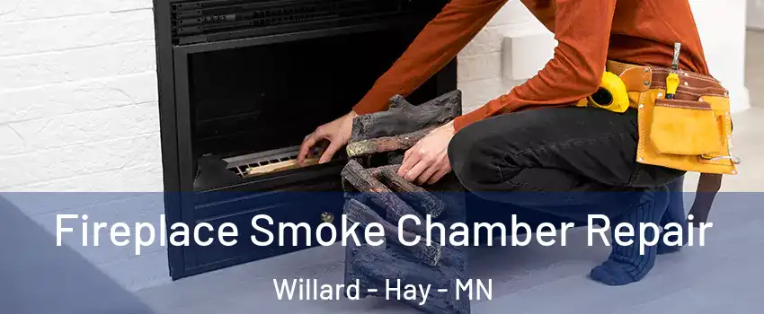 Fireplace Smoke Chamber Repair Willard - Hay - MN