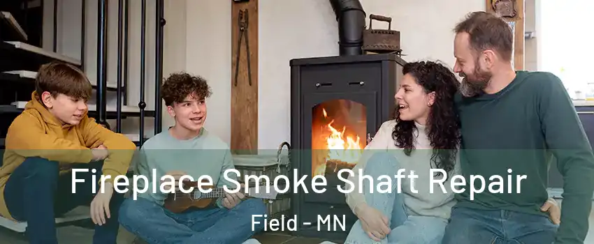 Fireplace Smoke Shaft Repair Field - MN