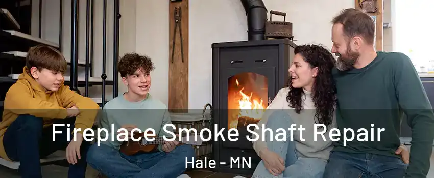 Fireplace Smoke Shaft Repair Hale - MN