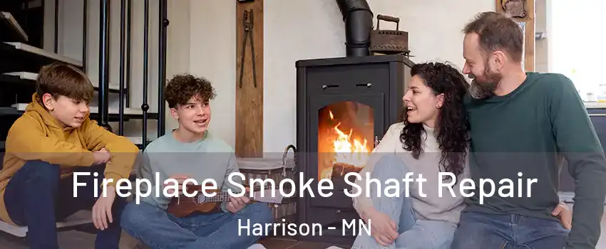 Fireplace Smoke Shaft Repair Harrison - MN