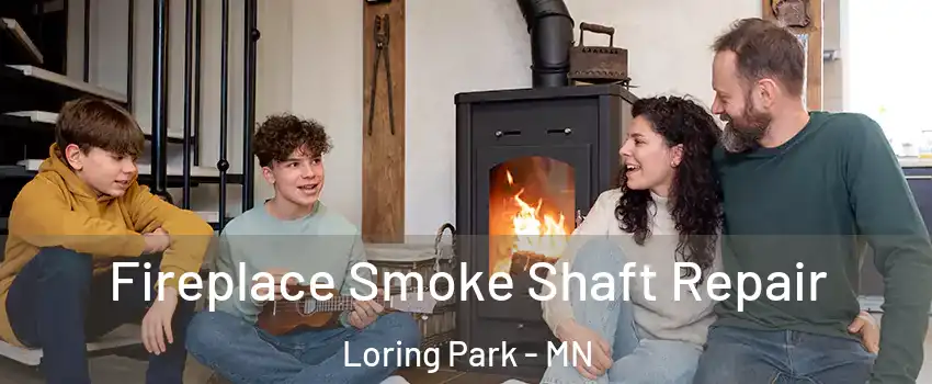 Fireplace Smoke Shaft Repair Loring Park - MN
