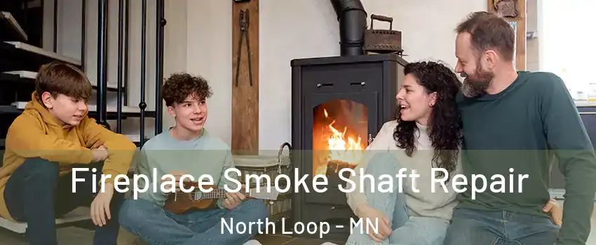 Fireplace Smoke Shaft Repair North Loop - MN