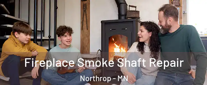 Fireplace Smoke Shaft Repair Northrop - MN