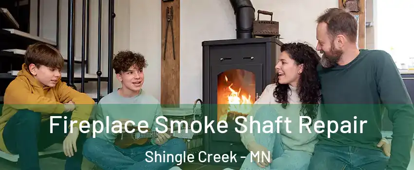 Fireplace Smoke Shaft Repair Shingle Creek - MN