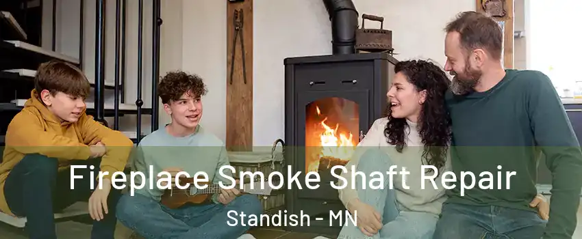 Fireplace Smoke Shaft Repair Standish - MN