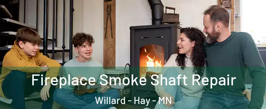 Fireplace Smoke Shaft Repair Willard - Hay - MN
