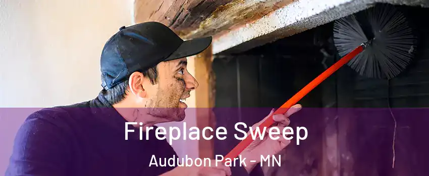 Fireplace Sweep Audubon Park - MN