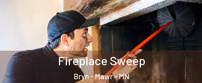 Fireplace Sweep Bryn - Mawr - MN