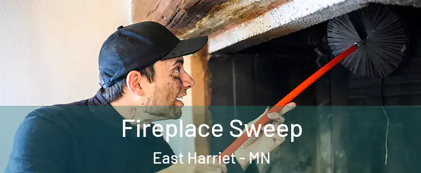 Fireplace Sweep East Harriet - MN