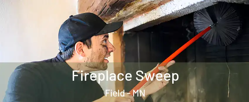 Fireplace Sweep Field - MN