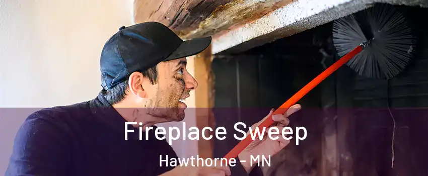 Fireplace Sweep Hawthorne - MN