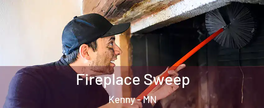 Fireplace Sweep Kenny - MN