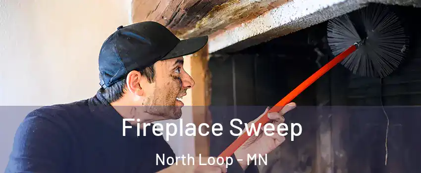 Fireplace Sweep North Loop - MN