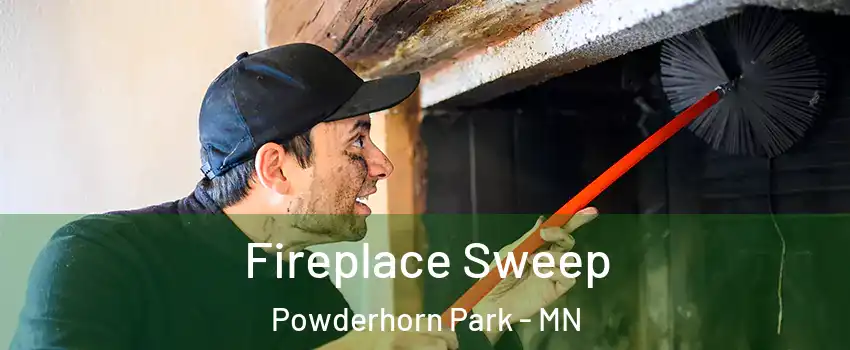 Fireplace Sweep Powderhorn Park - MN
