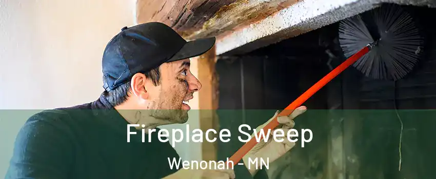 Fireplace Sweep Wenonah - MN