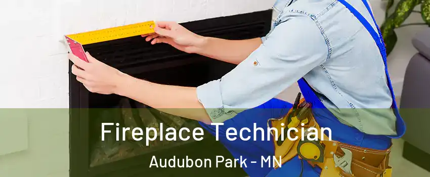 Fireplace Technician Audubon Park - MN