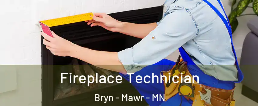 Fireplace Technician Bryn - Mawr - MN