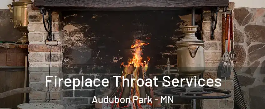 Fireplace Throat Services Audubon Park - MN