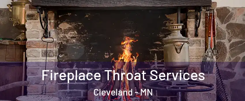 Fireplace Throat Services Cleveland - MN