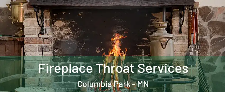 Fireplace Throat Services Columbia Park - MN