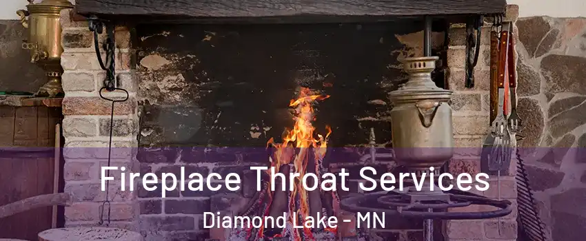 Fireplace Throat Services Diamond Lake - MN