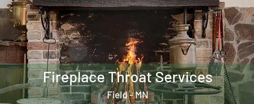 Fireplace Throat Services Field - MN