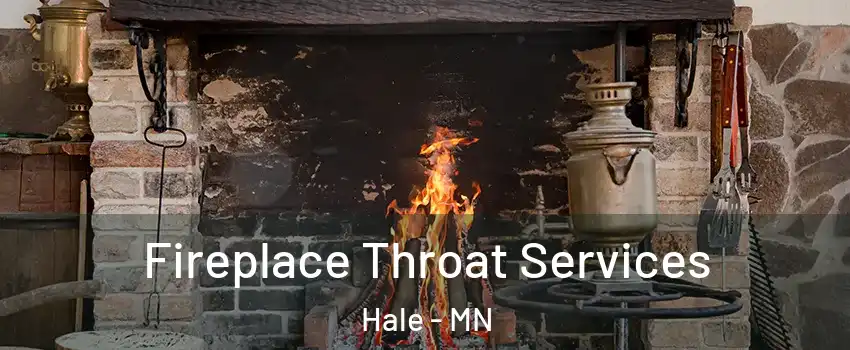 Fireplace Throat Services Hale - MN