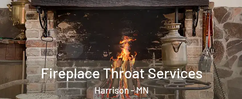 Fireplace Throat Services Harrison - MN
