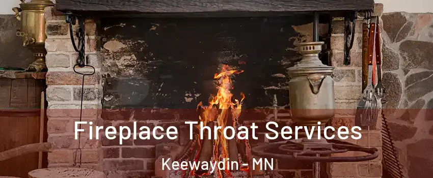 Fireplace Throat Services Keewaydin - MN