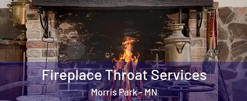 Fireplace Throat Services Morris Park - MN