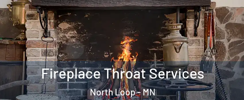 Fireplace Throat Services North Loop - MN