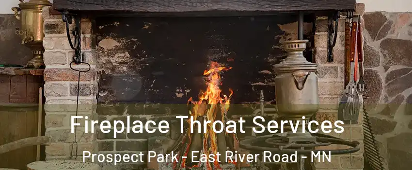 Fireplace Throat Services Prospect Park - East River Road - MN