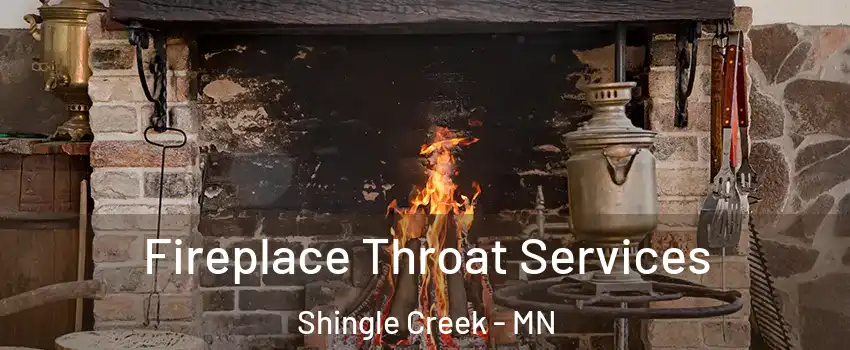 Fireplace Throat Services Shingle Creek - MN